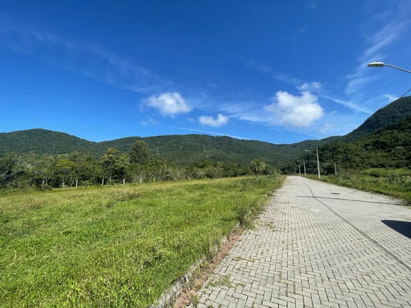 Terreno - Venda - Ribeiro da Ilha - Florianpolis - SC